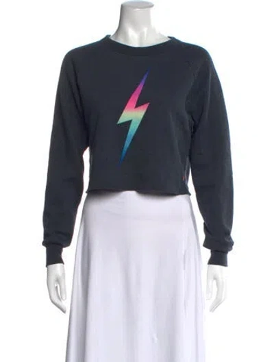 Pre-owned Aviator Nation Graphic Print Crew Neck Sweater In Blue