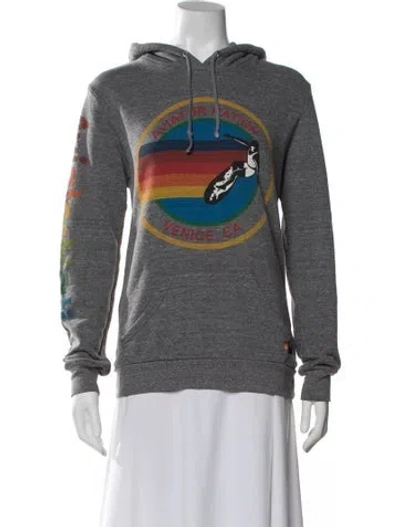 Pre-owned Aviator Nation Graphic Print Crew Neck Sweater In Gray
