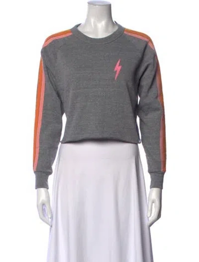 Pre-owned Aviator Nation Graphic Print Crew Neck Sweater In Gray