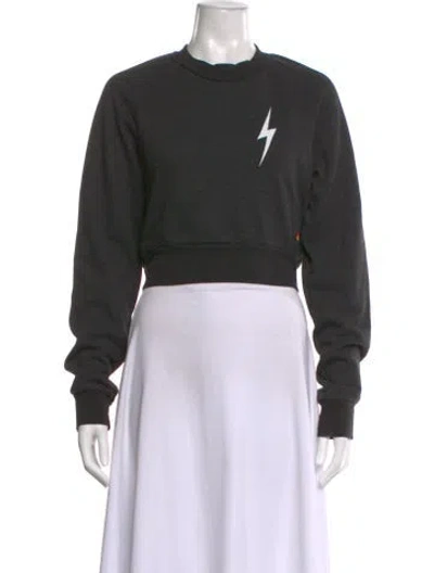 Pre-owned Aviator Nation Graphic Print Crew Neck Sweatshirt In Gray