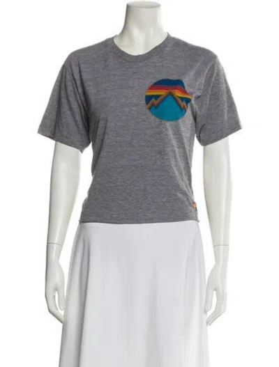 Pre-owned Aviator Nation Graphic Print Crew Neck T-shirt In Gray