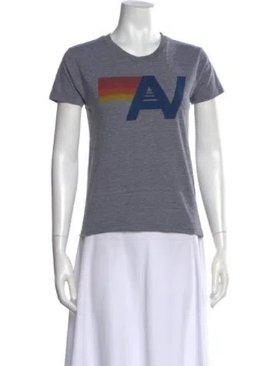 Pre-owned Aviator Nation Graphic Print Crew Neck T-shirt In Gray