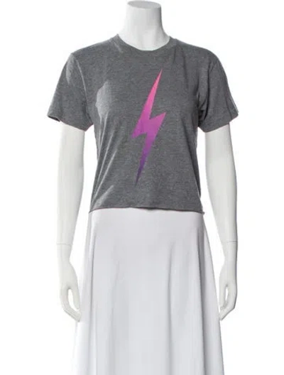 Pre-owned Aviator Nation Graphic Print Crew Neck T-shirt In Gray