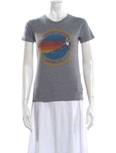 Pre-owned Aviator Nation Graphic Print Crew Neck T-shirt In Gray