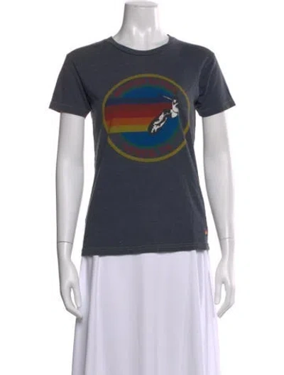 Pre-owned Aviator Nation Graphic Print Crew Neck T-shirt In Gray