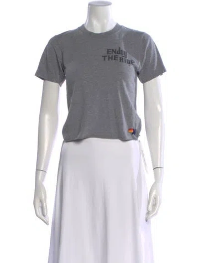 Pre-owned Aviator Nation Graphic Print Crew Neck T-shirt In Gray