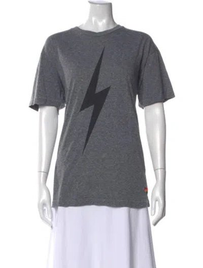 Pre-owned Aviator Nation Graphic Print Crew Neck T-shirt In Gray