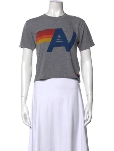 Pre-owned Aviator Nation Graphic Print Crew Neck T-shirt In Gray