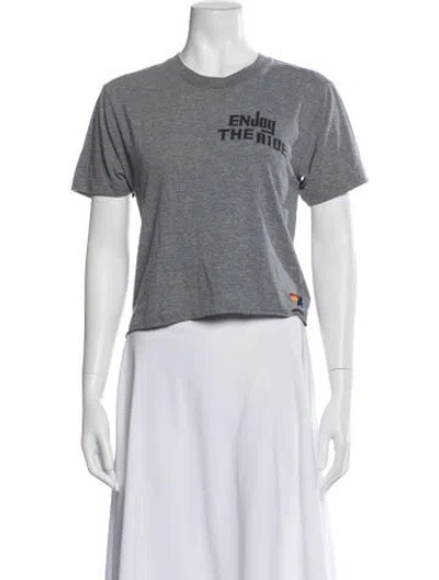 Pre-owned Aviator Nation Graphic Print Crew Neck T-shirt In Gray