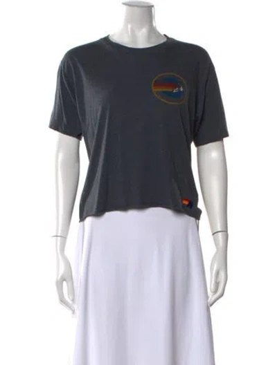 Pre-owned Aviator Nation Graphic Print Crew Neck T-shirt In Gray