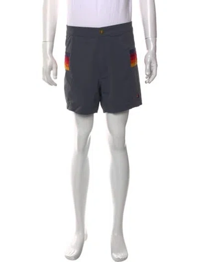 Pre-owned Aviator Nation Graphic Print Shorts In Grey
