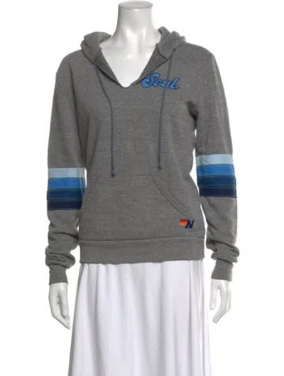 Pre-owned Aviator Nation Graphic Print V-neck Hoodie In Grey