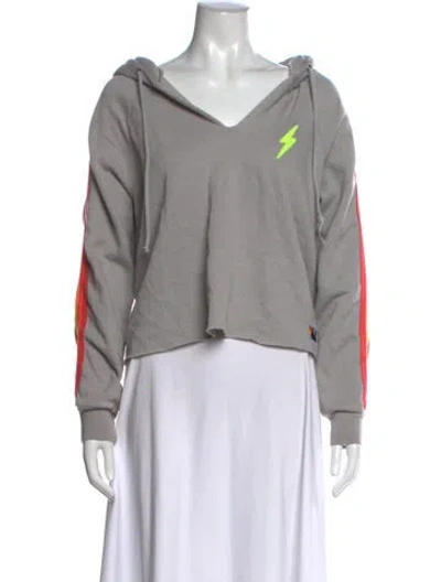 Pre-owned Aviator Nation Graphic Print V-neck Sweater In Gray