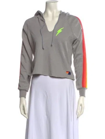 Pre-owned Aviator Nation Graphic Print V-neck Sweatshirt In Gray