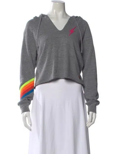 Pre-owned Aviator Nation Graphic Print V-neck Sweatshirt In Gray