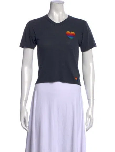 Pre-owned Aviator Nation Graphic Print V-neck T-shirt In Gray