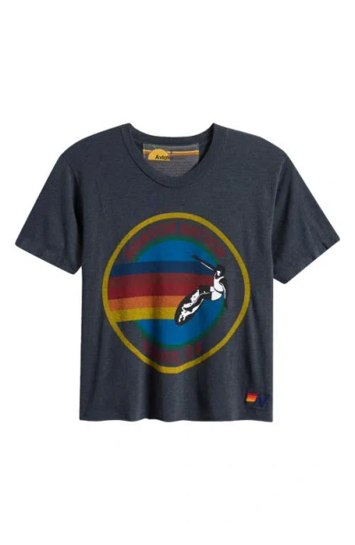 Aviator Nation Graphic Tee In Blue