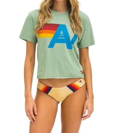 Aviator Nation Logo Boyfriend Tee In Sage In Green