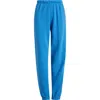 Aviator Nation Stripe Sweatpants