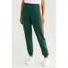 Aviator Nation Stripe Sweatpants In Multi