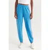 Aviator Nation Stripe Sweatpants In Blue