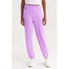 Aviator Nation Stripe Sweatpants In Multi