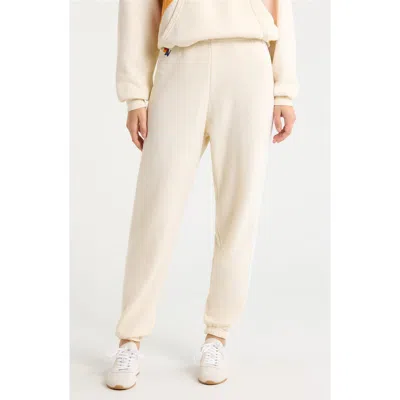 Aviator Nation Stripe Sweatpants In Neutral