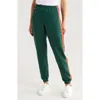 Aviator Nation Stripe Sweatpants In Forest/purple Orange