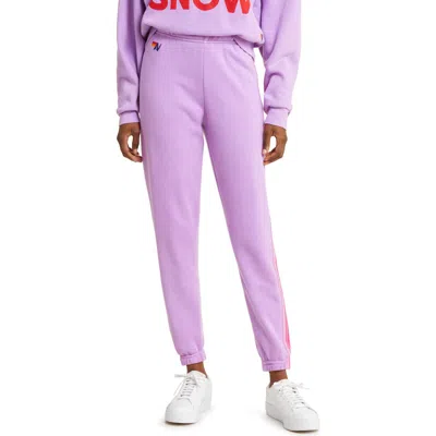 Aviator Nation Stripe Sweatpants In Neon Purple/pink