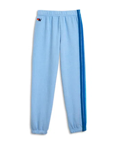 Aviator Nation Unisex 5 Stripe Sweatpants - Little Kid, Big Kid In Blue