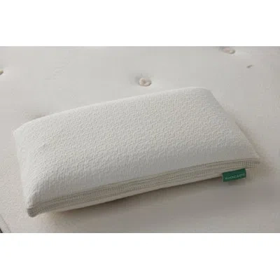 Avocado Molded Latex Pillow In White