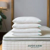 Avocado Pillow In White