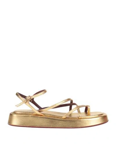 Avril Gau Woman Thong Sandal Gold Size 8 Leather