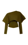A.w.a.k.e. Asymmetric Wool Collar Knit Top In Green