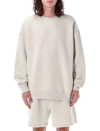 Awake Ny Crewneck Sweatshirt In Grey