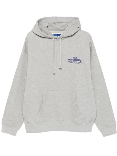 Awake Ny Good Everywhere Pullover Hoodie In Gray