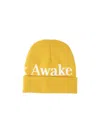 Awake Ny Serif Logo Beanie