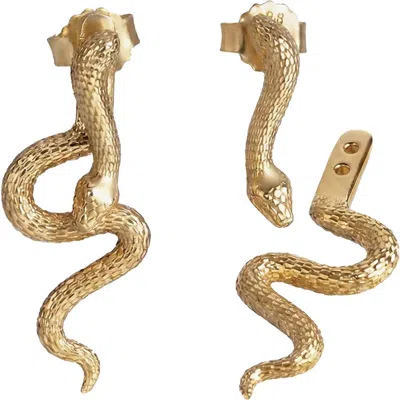 Awe Inspired Mystic Serpent Stud Earrings In Gold