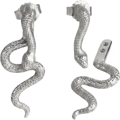 Awe Inspired Mystic Serpent Stud Earrings In Metallic