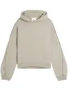 Axel Arigato Clove Washed Hoodie In Neutrals