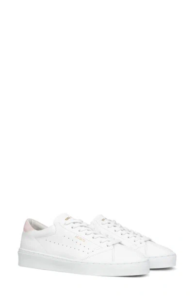 Axel Arigato Court Sneaker In White / Pink