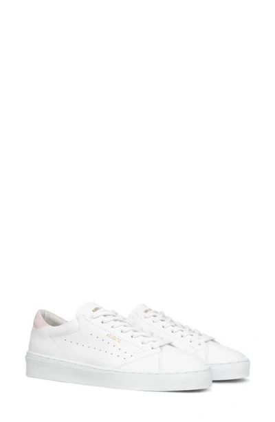 Axel Arigato Court Trainer In White / Pink