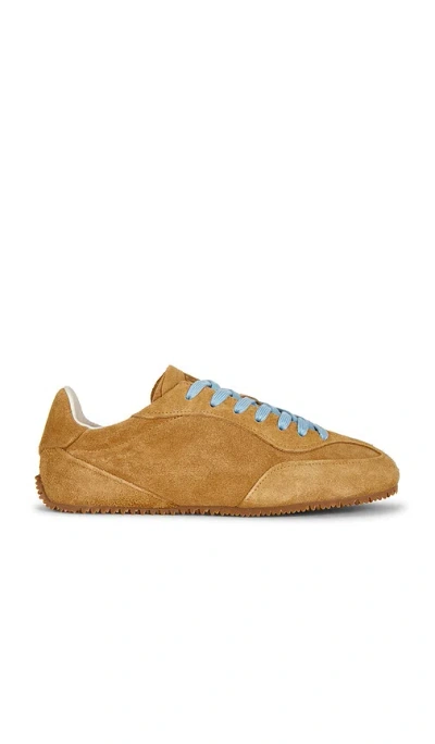 Axel Arigato Daze Runner In Brown