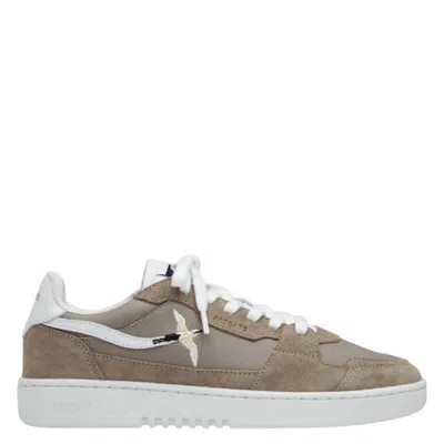 Axel Arigato Dice Bee Bird Low-top Sneakers In Brown