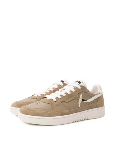 Axel Arigato Dice Lo Bee Bird Sneakers In Brown