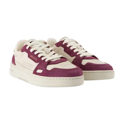 Axel Arigato Women Dice Lo Low-top Suede And Leather Sneakers In Purple