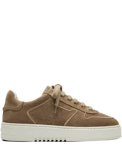 Axel Arigato Orbit Sneakers In Brown