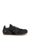 Axel Arigato Black Calf Leather Bos Taurus Low Top Sneakers In Black