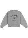 Axel Arigato University Sweatshirt In Grey