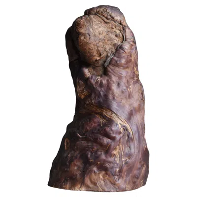 Pre-owned Axel Vervoordt Japanese Wabi-sabi Yakusugi Burl Sculpture / Natural Abstract Form Object In Brown